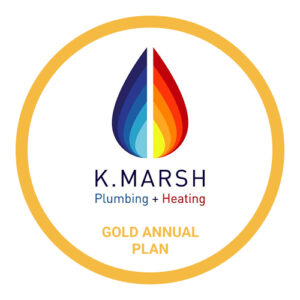 Gold Annual Plan