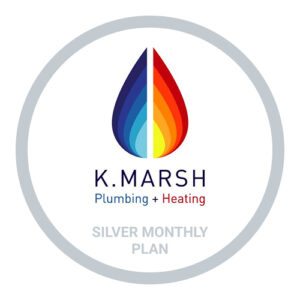 Silver Monthly Plan